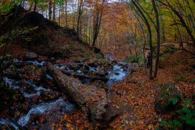 Yedigller Ulusal Parkı, Bolu ilinin sınırları içinde, doğal güzelliği ile ünlü, doğa severler ve gezginlerin favorisi haline geldi..
