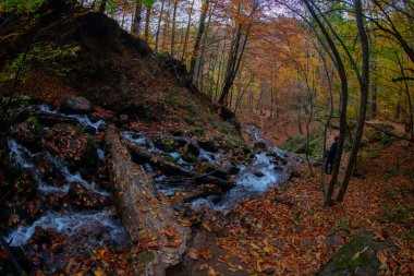 Yedigller Ulusal Parkı, Bolu ilinin sınırları içinde, doğal güzelliği ile ünlü, doğa severler ve gezginlerin favorisi haline geldi..