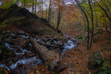 Yedigller Ulusal Parkı, Bolu ilinin sınırları içinde, doğal güzelliği ile ünlü, doğa severler ve gezginlerin favorisi haline geldi..