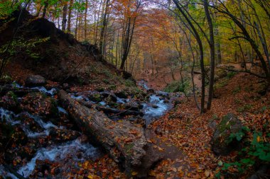 Yedigller Ulusal Parkı, Bolu ilinin sınırları içinde, doğal güzelliği ile ünlü, doğa severler ve gezginlerin favorisi haline geldi..