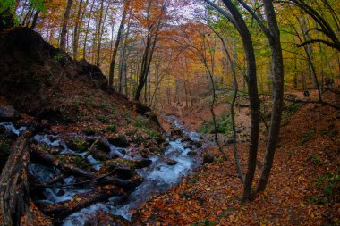 Yedigller Ulusal Parkı, Bolu ilinin sınırları içinde, doğal güzelliği ile ünlü, doğa severler ve gezginlerin favorisi haline geldi..