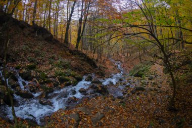 Yedigller Ulusal Parkı, Bolu ilinin sınırları içinde, doğal güzelliği ile ünlü, doğa severler ve gezginlerin favorisi haline geldi..