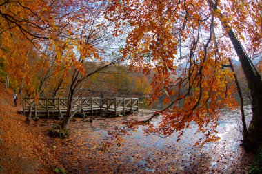 Yedigller Ulusal Parkı, Bolu ilinin sınırları içinde, doğal güzelliği ile ünlü, doğa severler ve gezginlerin favorisi haline geldi..