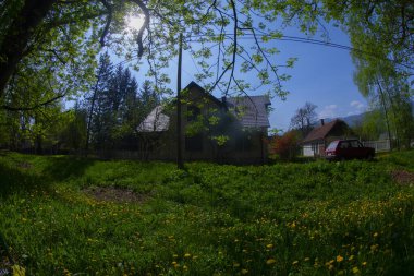 Bosna-Hersek 'in üçüncü büyük nehri olan Bosna Nehri, su kaynaklarının güzelliği ve Bosna' da doğan Vrelo 'nun eşsiz yeşilliğiyle tanınıyor..