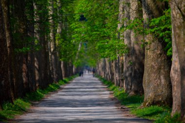 Bosna-Hersek 'in üçüncü büyük nehri olan Bosna Nehri, su kaynaklarının güzelliği ve Bosna' da doğan Vrelo 'nun eşsiz yeşilliğiyle tanınıyor..