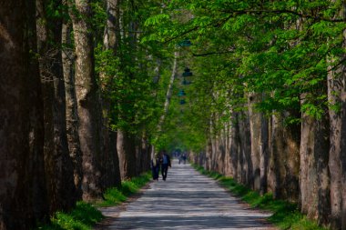 Bosna-Hersek 'in üçüncü büyük nehri olan Bosna Nehri, su kaynaklarının güzelliği ve Bosna' da doğan Vrelo 'nun eşsiz yeşilliğiyle tanınıyor..