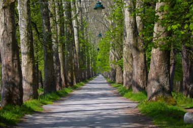 Bosna-Hersek 'in üçüncü büyük nehri olan Bosna Nehri, su kaynaklarının güzelliği ve Bosna' da doğan Vrelo 'nun eşsiz yeşilliğiyle tanınıyor..