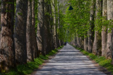 Bosna-Hersek 'in üçüncü büyük nehri olan Bosna Nehri, su kaynaklarının güzelliği ve Bosna' da doğan Vrelo 'nun eşsiz yeşilliğiyle tanınıyor..