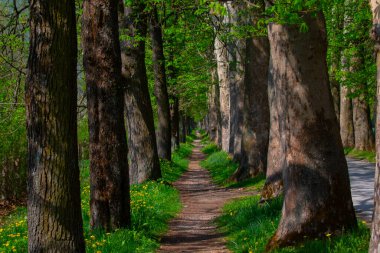 Bosna-Hersek 'in üçüncü büyük nehri olan Bosna Nehri, su kaynaklarının güzelliği ve Bosna' da doğan Vrelo 'nun eşsiz yeşilliğiyle tanınıyor..