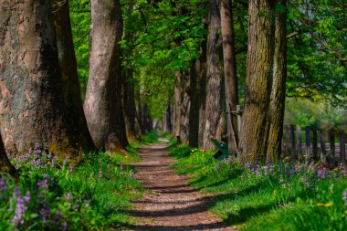 Bosna-Hersek 'in üçüncü büyük nehri olan Bosna Nehri, su kaynaklarının güzelliği ve Bosna' da doğan Vrelo 'nun eşsiz yeşilliğiyle tanınıyor..