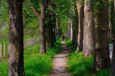 Bosna-Hersek 'in üçüncü büyük nehri olan Bosna Nehri, su kaynaklarının güzelliği ve Bosna' da doğan Vrelo 'nun eşsiz yeşilliğiyle tanınıyor..