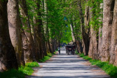 Bosna-Hersek 'in üçüncü büyük nehri olan Bosna Nehri, su kaynaklarının güzelliği ve Bosna' da doğan Vrelo 'nun eşsiz yeşilliğiyle tanınıyor..
