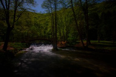 Bosna-Hersek 'in üçüncü büyük nehri olan Bosna Nehri, su kaynaklarının güzelliği ve Bosna' da doğan Vrelo 'nun eşsiz yeşilliğiyle tanınıyor..