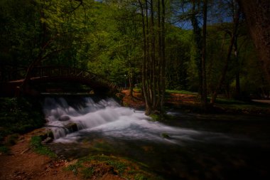Bosna-Hersek 'in üçüncü büyük nehri olan Bosna Nehri, su kaynaklarının güzelliği ve Bosna' da doğan Vrelo 'nun eşsiz yeşilliğiyle tanınıyor..