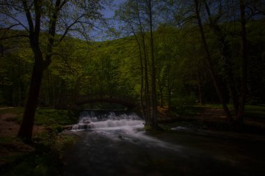 Bosna-Hersek 'in üçüncü büyük nehri olan Bosna Nehri, su kaynaklarının güzelliği ve Bosna' da doğan Vrelo 'nun eşsiz yeşilliğiyle tanınıyor..