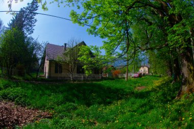 Bosna-Hersek 'in üçüncü büyük nehri olan Bosna Nehri, su kaynaklarının güzelliği ve Bosna' da doğan Vrelo 'nun eşsiz yeşilliğiyle tanınıyor..