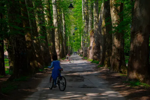 Bosna-Hersek 'in üçüncü büyük nehri olan Bosna Nehri, su kaynaklarının güzelliği ve Bosna' da doğan Vrelo 'nun eşsiz yeşilliğiyle tanınıyor..