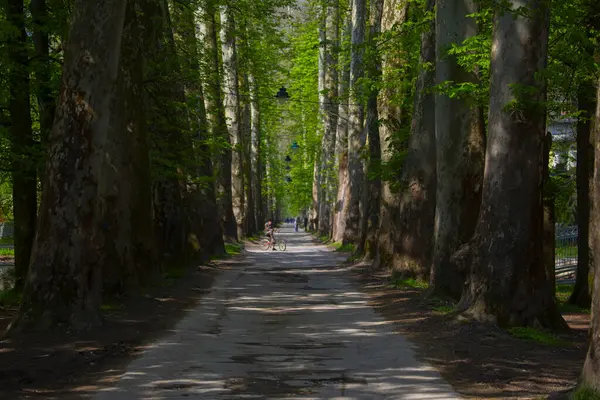 Bosna-Hersek 'in üçüncü büyük nehri olan Bosna Nehri, su kaynaklarının güzelliği ve Bosna' da doğan Vrelo 'nun eşsiz yeşilliğiyle tanınıyor..