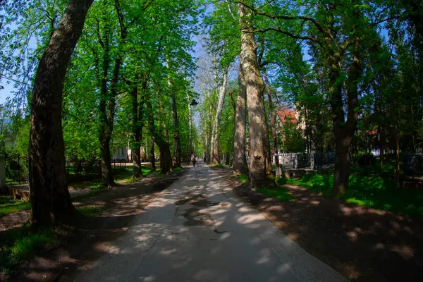 Bosna-Hersek 'in üçüncü büyük nehri olan Bosna Nehri, su kaynaklarının güzelliği ve Bosna' da doğan Vrelo 'nun eşsiz yeşilliğiyle tanınıyor..