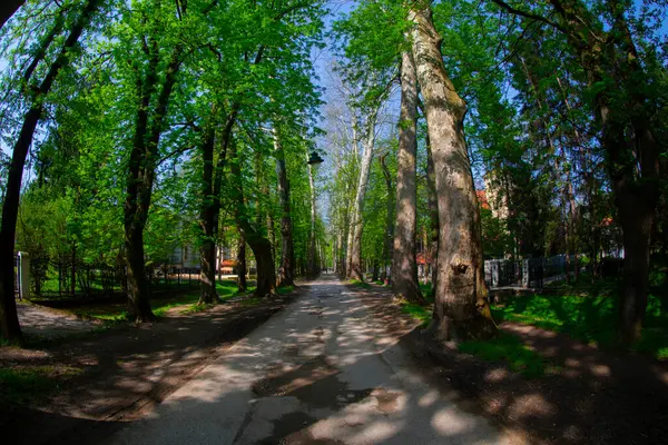 Bosna-Hersek 'in üçüncü büyük nehri olan Bosna Nehri, su kaynaklarının güzelliği ve Bosna' da doğan Vrelo 'nun eşsiz yeşilliğiyle tanınıyor..