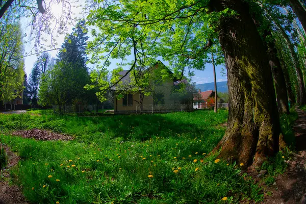 Bosna-Hersek 'in üçüncü büyük nehri olan Bosna Nehri, su kaynaklarının güzelliği ve Bosna' da doğan Vrelo 'nun eşsiz yeşilliğiyle tanınıyor..