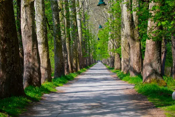 Bosna-Hersek 'in üçüncü büyük nehri olan Bosna Nehri, su kaynaklarının güzelliği ve Bosna' da doğan Vrelo 'nun eşsiz yeşilliğiyle tanınıyor..