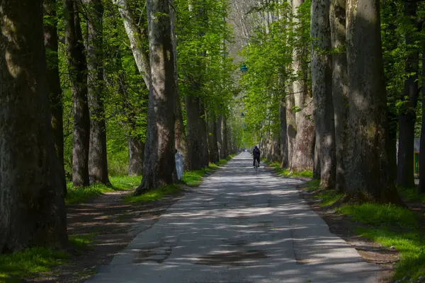 Bosna-Hersek 'in üçüncü büyük nehri olan Bosna Nehri, su kaynaklarının güzelliği ve Bosna' da doğan Vrelo 'nun eşsiz yeşilliğiyle tanınıyor..