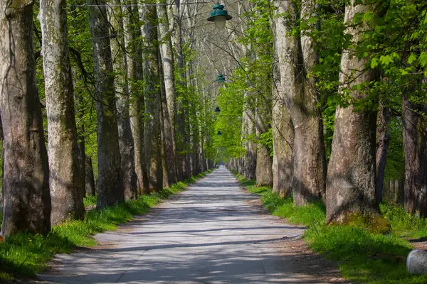 Bosna-Hersek 'in üçüncü büyük nehri olan Bosna Nehri, su kaynaklarının güzelliği ve Bosna' da doğan Vrelo 'nun eşsiz yeşilliğiyle tanınıyor..