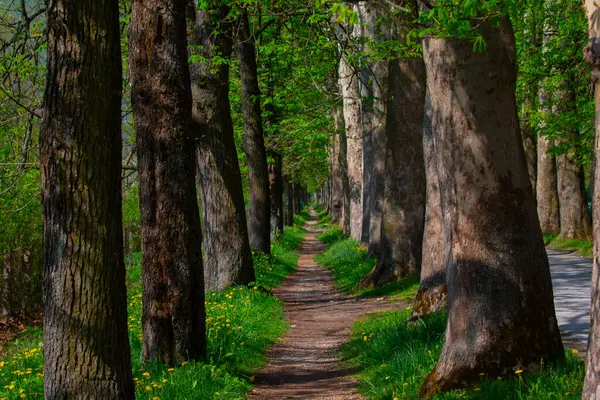 Bosna-Hersek 'in üçüncü büyük nehri olan Bosna Nehri, su kaynaklarının güzelliği ve Bosna' da doğan Vrelo 'nun eşsiz yeşilliğiyle tanınıyor..