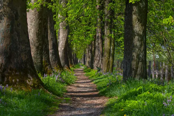 Bosna-Hersek 'in üçüncü büyük nehri olan Bosna Nehri, su kaynaklarının güzelliği ve Bosna' da doğan Vrelo 'nun eşsiz yeşilliğiyle tanınıyor..