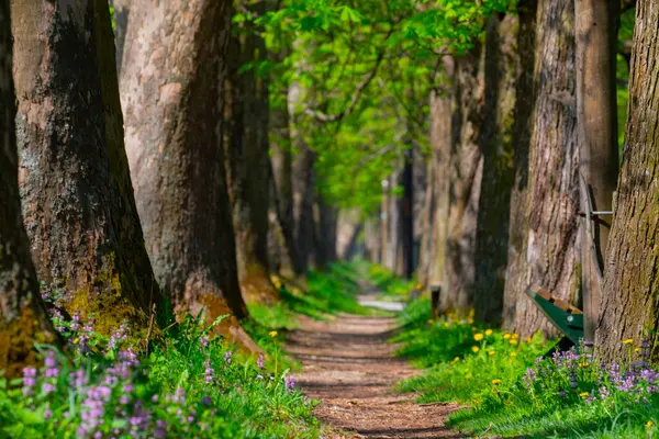 Bosna-Hersek 'in üçüncü büyük nehri olan Bosna Nehri, su kaynaklarının güzelliği ve Bosna' da doğan Vrelo 'nun eşsiz yeşilliğiyle tanınıyor..