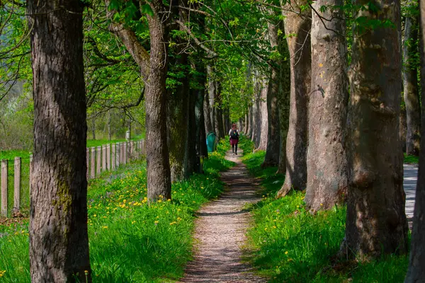 Bosna-Hersek 'in üçüncü büyük nehri olan Bosna Nehri, su kaynaklarının güzelliği ve Bosna' da doğan Vrelo 'nun eşsiz yeşilliğiyle tanınıyor..