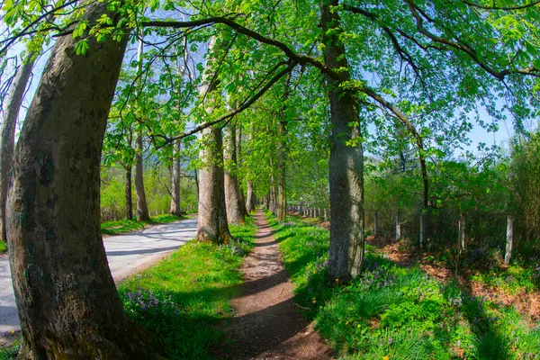 Bosna-Hersek 'in üçüncü büyük nehri olan Bosna Nehri, su kaynaklarının güzelliği ve Bosna' da doğan Vrelo 'nun eşsiz yeşilliğiyle tanınıyor..