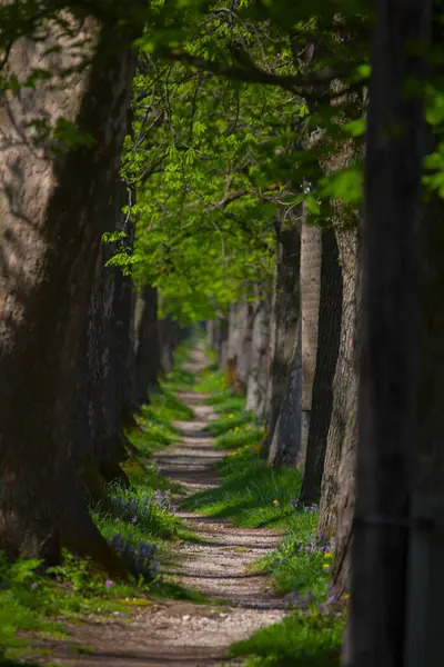 Bosna-Hersek 'in üçüncü büyük nehri olan Bosna Nehri, su kaynaklarının güzelliği ve Bosna' da doğan Vrelo 'nun eşsiz yeşilliğiyle tanınıyor..