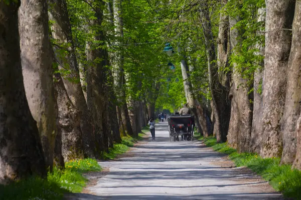 Bosna-Hersek 'in üçüncü büyük nehri olan Bosna Nehri, su kaynaklarının güzelliği ve Bosna' da doğan Vrelo 'nun eşsiz yeşilliğiyle tanınıyor..