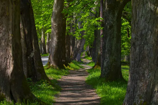 Bosna-Hersek 'in üçüncü büyük nehri olan Bosna Nehri, su kaynaklarının güzelliği ve Bosna' da doğan Vrelo 'nun eşsiz yeşilliğiyle tanınıyor..