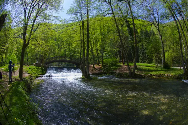Bosna-Hersek 'in üçüncü büyük nehri olan Bosna Nehri, su kaynaklarının güzelliği ve Bosna' da doğan Vrelo 'nun eşsiz yeşilliğiyle tanınıyor..