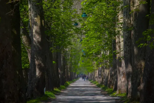 Bosna-Hersek 'in üçüncü büyük nehri olan Bosna Nehri, su kaynaklarının güzelliği ve Bosna' da doğan Vrelo 'nun eşsiz yeşilliğiyle tanınıyor..