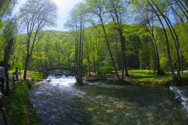 Bosna-Hersek 'in üçüncü büyük nehri olan Bosna Nehri, su kaynaklarının güzelliği ve Bosna' da doğan Vrelo 'nun eşsiz yeşilliğiyle tanınıyor..