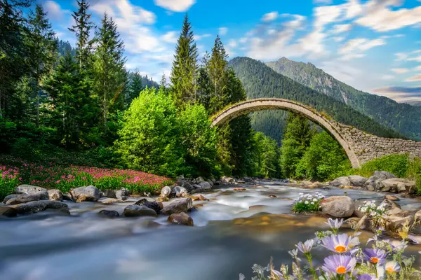 Dünyadaki en güzel taş köprüler.