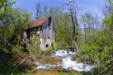 Şelaleler Martin Brod Una Ulusal Parkı Bosna