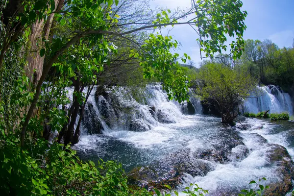 Şelaleler Martin Brod Una Ulusal Parkı Bosna