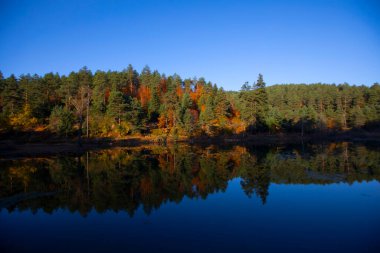 Bozcaarmut Barajı Bilecik ilçesinin Bozcaarmut Köyü 'nde yer almaktadır..