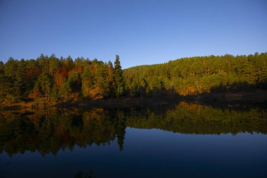 Bozcaarmut Barajı Bilecik ilçesinin Bozcaarmut Köyü 'nde yer almaktadır..