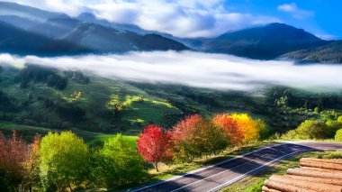 2015 yılında Cittaslow 'a küçük bir yerleşim birimi olan Savsat da dahil edildi ve Trkiye' nin sakin şehirleri arasındaydı. Artvin şehrinden 71 km uzaktadır..