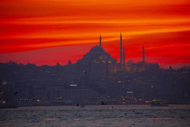 Süleyman Camii ve İstanbul Feribotları
