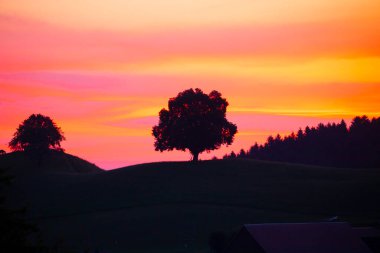 Güzel köy Hirzel Green Meadows Çiftlik Alanları Yamaçlar Canton Zug İsviçre 