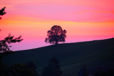 Güzel köy Hirzel Green Meadows Çiftlik Alanları Yamaçlar Canton Zug İsviçre 