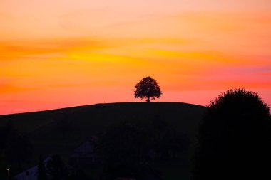 Güzel köy Hirzel Green Meadows Çiftlik Alanları Yamaçlar Canton Zug İsviçre 