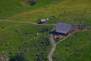 Seealpsee İsviçre 'nin Appenzell Innerrhoden kantonunun Alpstein ilçesine bağlı bir göldür..